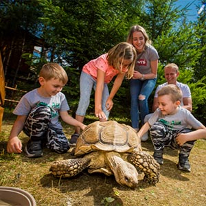 Deti hladkajú korytnačku v kontaktnej zoo Tatrapolis